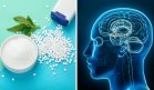 Consumo de endulzantes podría aumentar la sensación de hambre y alterar mecanismos cerebrales del apetito