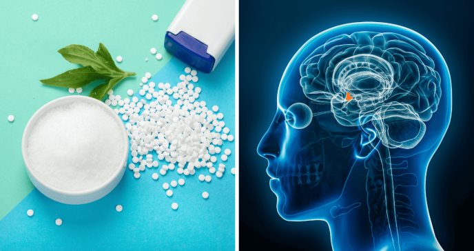 Consumo de endulzantes podría aumentar la sensación de hambre y alterar mecanismos cerebrales del apetito