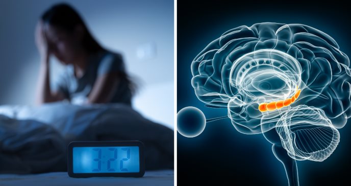 Falta de sueño alteraría funciones clave del cerebro, afectando la memoria, las emociones y la atención