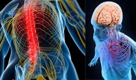 Científicos revelan que el dolor crónico y la depresión están vinculados a un mismo marcador inflamatorio