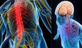 Científicos revelan que el dolor crónico y la depresión están vinculados a un mismo marcador inflamatorio