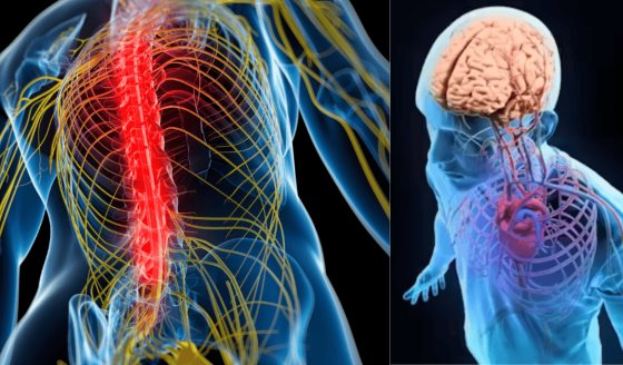 Científicos revelan que el dolor crónico y la depresión están vinculados a un mismo marcador inflamatorio