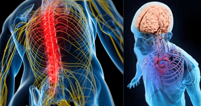 Científicos revelan que el dolor crónico y la depresión están vinculados a un mismo marcador inflamatorio
