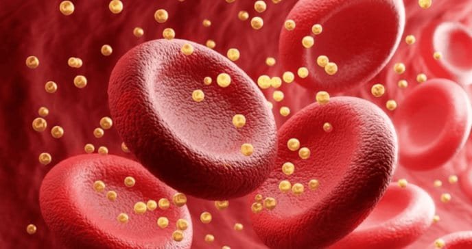 Relación entre la Lipoproteína A y el estrés oxidativo en el desarrollo de enfermedades cardiovasculares