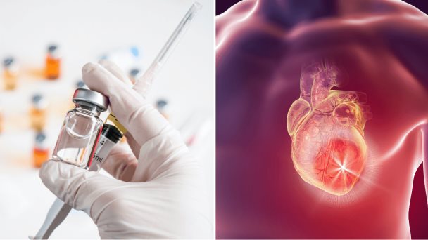 Vacuna contra el herpes zóster reduciría un 23 % el riesgo de eventos cardiovasculares, según estudio Vacuna contra el herpes zóster reduciría un 23 % el riesgo de eventos cardiovasculares, según estudio