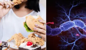 Alimentos ultraprocesados aumentarían el riesgo de síntomas asociados al párkinson, según estudio