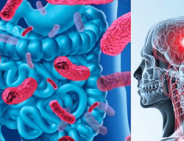 Descubren que el consumo de probióticos podría prevenir el alzhéimer y el deterioro cognitivo