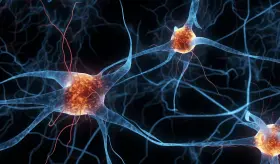 Administración de klotho incrementa esperanza de vida y reduce deterioro asociado a la edad: estudio