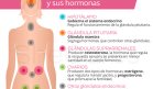 Hormonas femeninas: Claves para la salud integral de la mujer