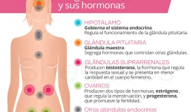 Hormonas femeninas: Claves para la salud integral de la mujer