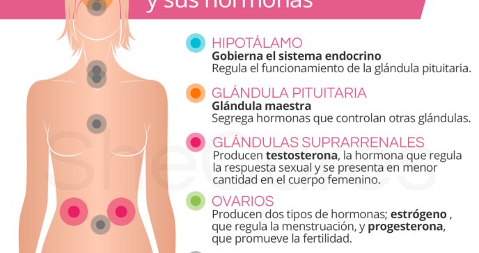 Hormonas femeninas: Claves para la salud integral de la mujer