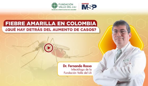 Fiebre amarilla en Colombia: ¿Qué hay detrás del aumento de casos?