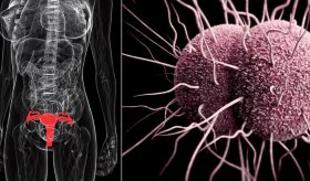 Desarrollan gepotidacina fármaco eficaz para tratar la bacteria Neisseria gonorrhoeae 
