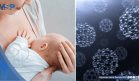 Hallan nanopartículas metálicas en leche materna asociadas al consumo habitual de harinas