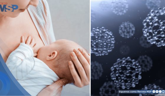 Hallan nanopartículas metálicas en leche materna asociadas al consumo habitual de harinas