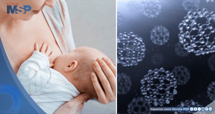 Hallan nanopartículas metálicas en leche materna asociadas al consumo habitual de harinas