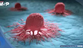 Científicos descubren que la taurina impulsa la leucemia y proponen bloquear su absorción como terapia