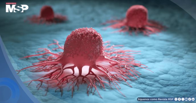 Científicos descubren que la taurina impulsa la leucemia y proponen bloquear su absorción como terapia