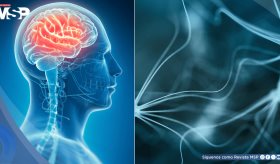 El ítem 9 del PHQ-9 detecta pensamientos suicidas en Puerto Rico: Estudio evidencia falta de seguimiento