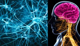 Advierten que una atención temprana y especializada podría prevenir complicaciones graves en la esquizofrenia