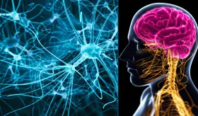 Advierten que una atención temprana y especializada podría prevenir complicaciones graves en la esquizofrenia