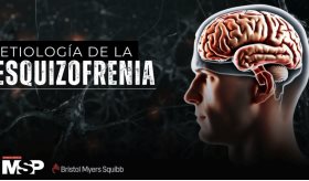 Etiología de la esquizofrenia
