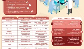 REANIMACIÓN POR PARO CARDÍACO