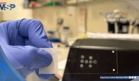 STAMP: Nueva técnica permitiría diagnósticos tempranos y terapias altamente personalizadas para el cáncer