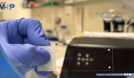 STAMP: Nueva técnica permitiría diagnósticos tempranos y terapias altamente personalizadas para el cáncer