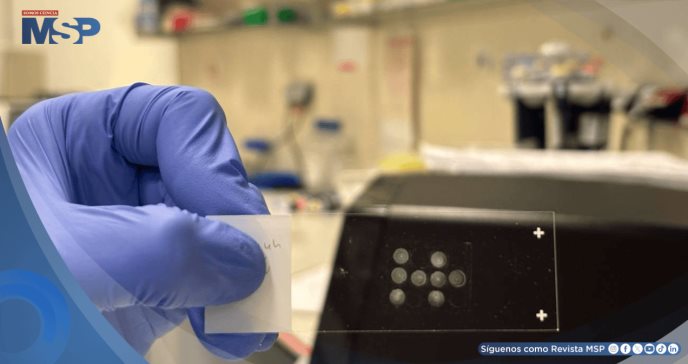 STAMP: Nueva técnica permitiría diagnósticos tempranos y terapias altamente personalizadas para el cáncer