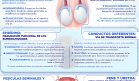 Fisiología del sistema reproductor masculino