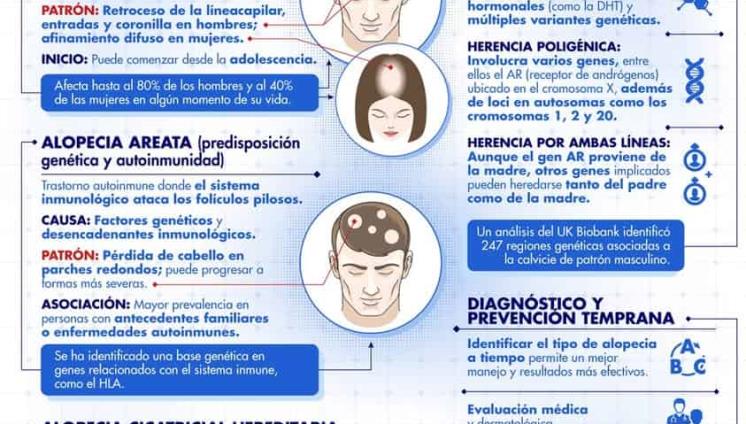 TIPOS DE ALOPECIA CON COMPONENTE GENÉTICO TIPOS DE ALOPECIA CON COMPONENTE GENÉTICO