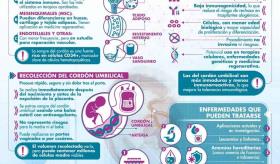 CÉLULAS MADRE DEL CORDÓN UMBILICAL