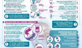 CÉLULAS MADRE DEL CORDÓN UMBILICAL