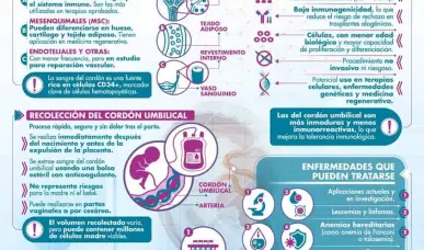 C&Eacute;LULAS MADRE DEL CORD&Oacute;N UMBILICAL