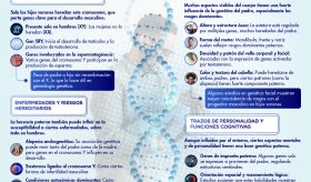 INFLUENCIA GENÉTICA PATERNA:LO QUE HEREDAS DE PAPÁ