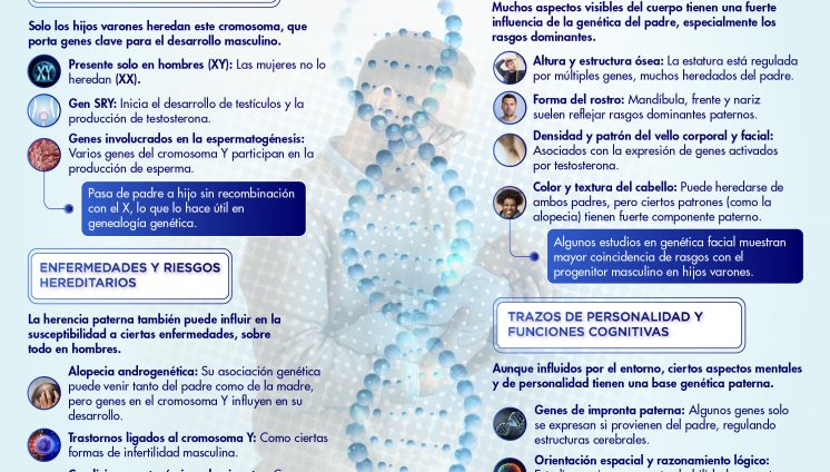 INFLUENCIA GENÉTICA PATERNA:LO QUE HEREDAS DE PAPÁ INFLUENCIA GENÉTICA PATERNA:LO QUE HEREDAS DE PAPÁ