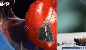 ´Humo de tercera mano´: Alertan sobre daño cardiovascular y riesgo de cáncer asociado al polvo de tabaco
