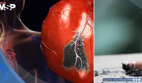 ´Humo de tercera mano´: Alertan sobre daño cardiovascular y riesgo de cáncer asociado al polvo de tabaco