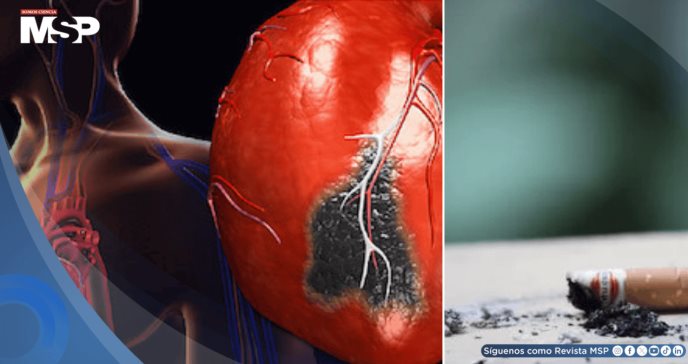 ´Humo de tercera mano´: Alertan sobre daño cardiovascular y riesgo de cáncer asociado al polvo de tabaco