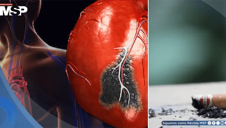 ´Humo de tercera mano´: Alertan sobre daño cardiovascular y riesgo de cáncer asociado al polvo de tabaco
