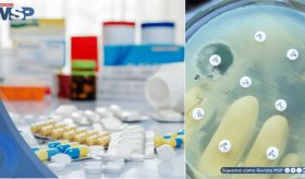 Prolongar el uso de antibióticos elevaría el riesgo de resistencia bacteriana sin mejorar la eficacia