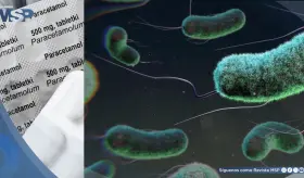 Científicos logran convertir residuos plásticos en paracetamol utilizando la bacteria Escherichia coli