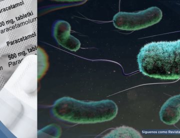 Científicos logran convertir residuos plásticos en paracetamol utilizando la bacteria Escherichia coli