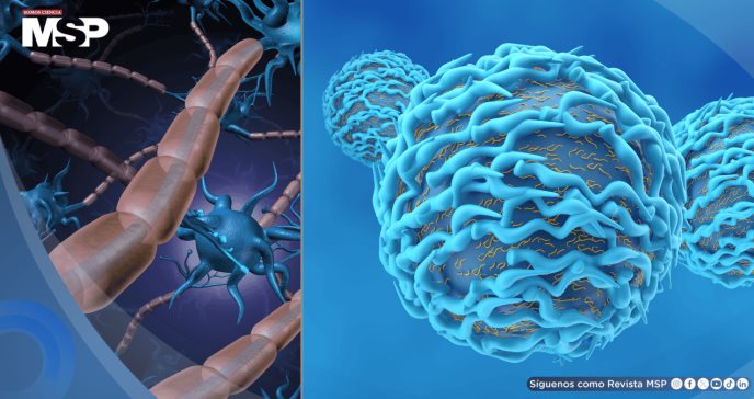 Inmunoterapia deja exclusividad en cáncer: avanza en alzhéimer, esclerosis múltiple y otras patologías