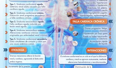 S&Iacute;NDROME CARDIORRENAL