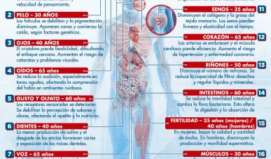 EL RELOJ BIOL&Oacute;GICO