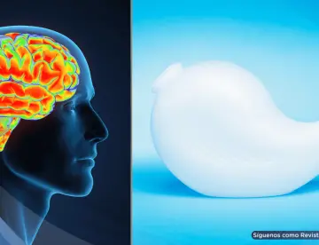 FDA alerta que lavados nasales mal realizados podrían causar infecciones cerebrales poco comunes