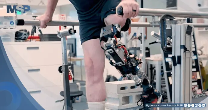 Desarrollan prótesis de rodilla biónica que se integra al hueso y al músculo para personas con amputación