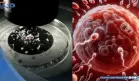 Estudio revela presencia de microplásticos en semen y ovarios: ¿Estaría en riesgo la fertilidad?